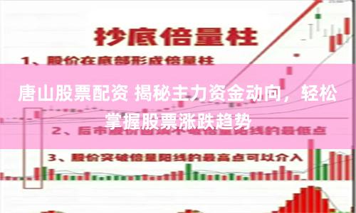唐山股票配资 揭秘主力资金动向，轻松掌握股票涨跌趋势