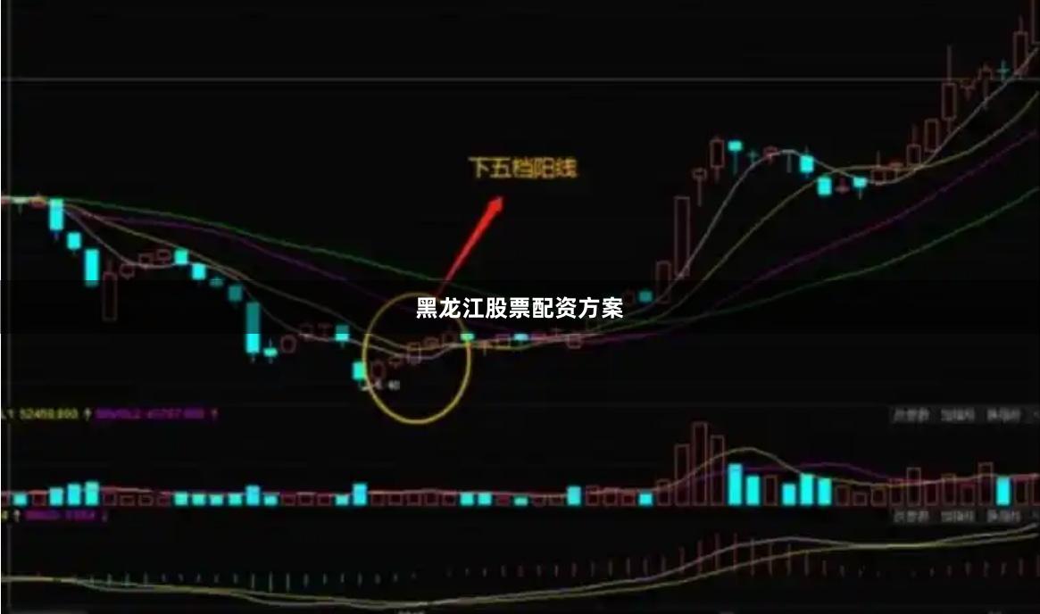 黑龙江股票配资方案