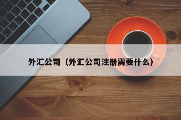 外汇公司（外汇公司注册需要什么）