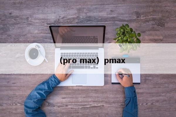 （pro max）pmax