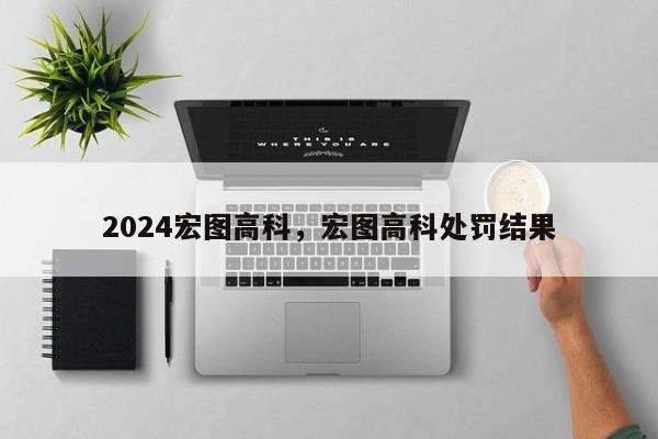 2024宏图高科，宏图高科处罚结果