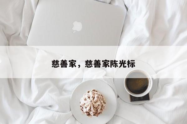 慈善家，慈善家陈光标