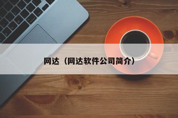 网达（网达软件公司简介）