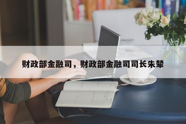 财政部金融司，财政部金融司司长朱辇