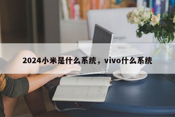 2024小米是什么系统，vivo什么系统