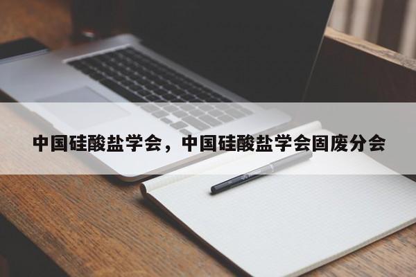 中国硅酸盐学会，中国硅酸盐学会固废分会