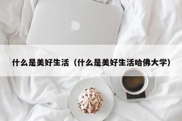 什么是美好生活（什么是美好生活哈佛大学）