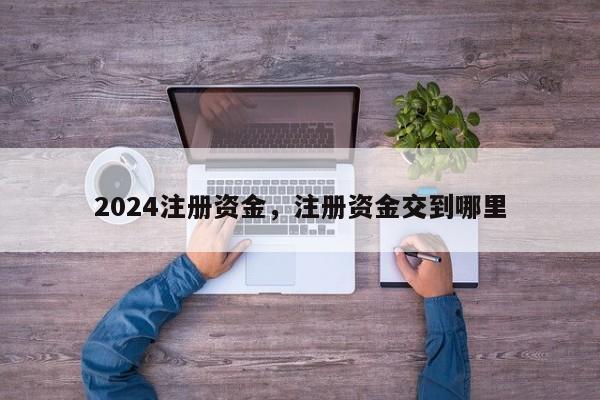 2024注册资金，注册资金交到哪里