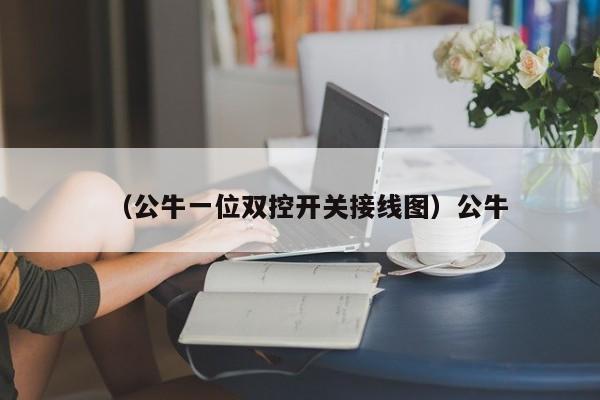 （公牛一位双控开关接线图）公牛