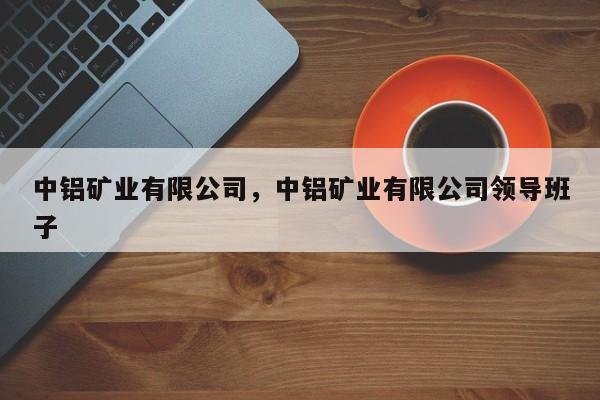 中铝矿业有限公司，中铝矿业有限公司领导班子