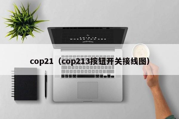 cop21（cop213按钮开关接线图）