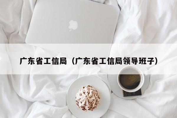 广东省工信局（广东省工信局领导班子）