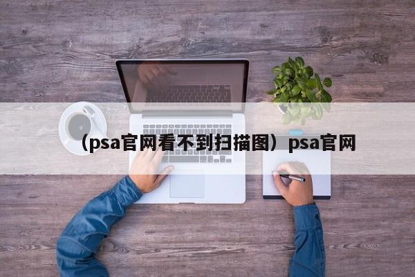 （psa官网看不到扫描图）psa官网