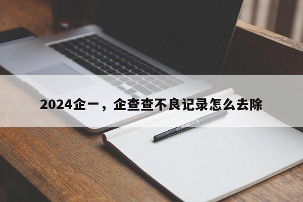 2024企一，企查查不良记录怎么去除