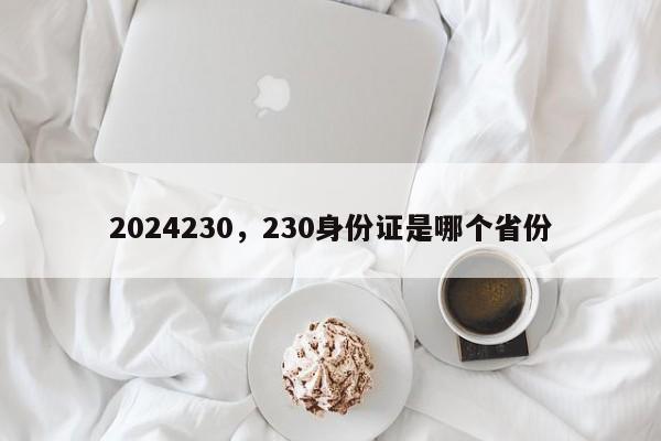 2024230，230身份证是哪个省份