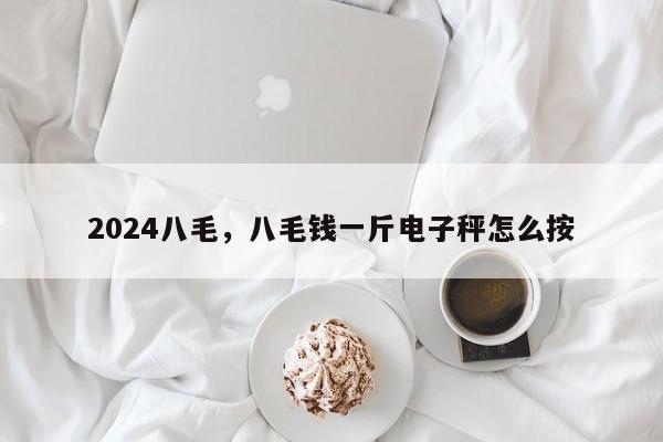 2024八毛，八毛钱一斤电子秤怎么按