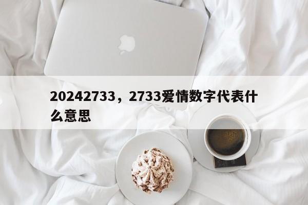 20242733，2733爱情数字代表什么意思