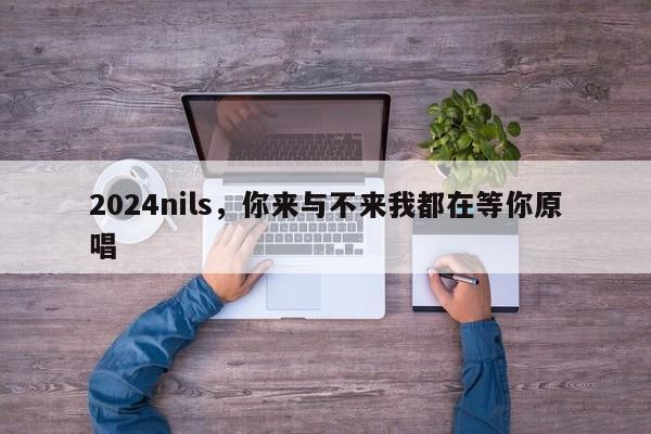 2024nils，你来与不来我都在等你原唱