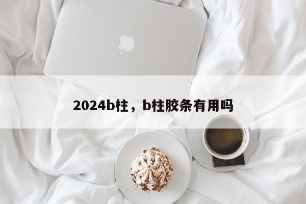 2024b柱，b柱胶条有用吗