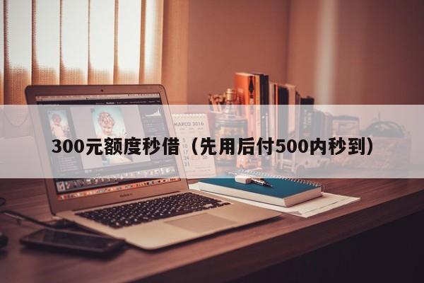 300元额度秒借（先用后付500内秒到）