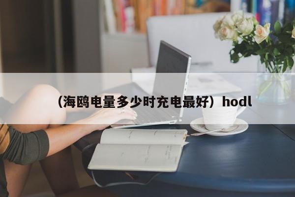 （海鸥电量多少时充电最好）hodl