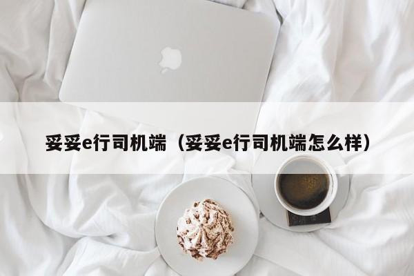 妥妥e行司机端（妥妥e行司机端怎么样）