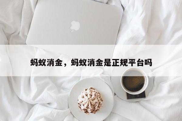 蚂蚁消金，蚂蚁消金是正规平台吗