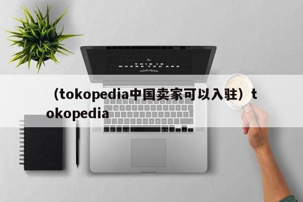 （tokopedia中国卖家可以入驻）tokopedia