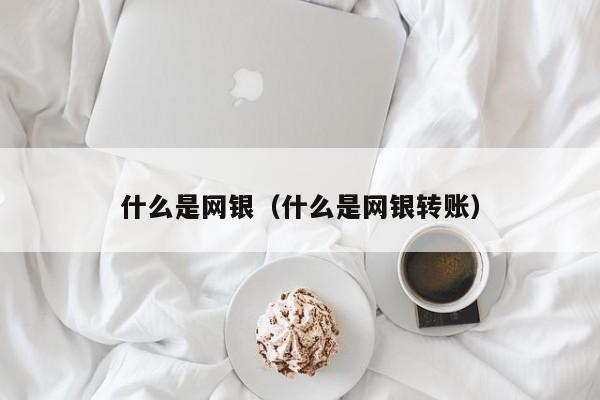 什么是网银（什么是网银转账）