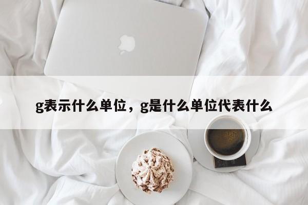 g表示什么单位，g是什么单位代表什么