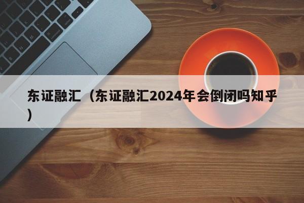 东证融汇（东证融汇2024年会倒闭吗知乎）