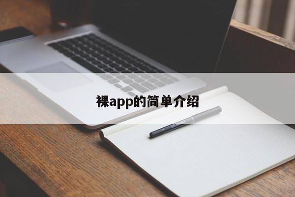 裸app的简单介绍