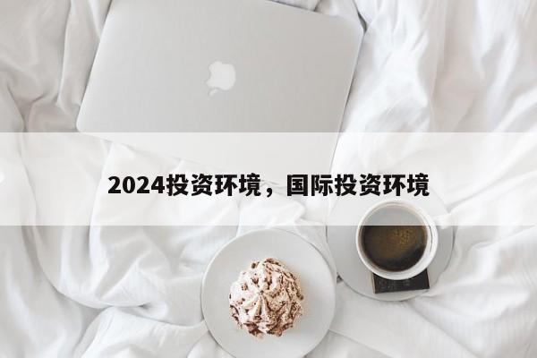 2024投资环境，国际投资环境