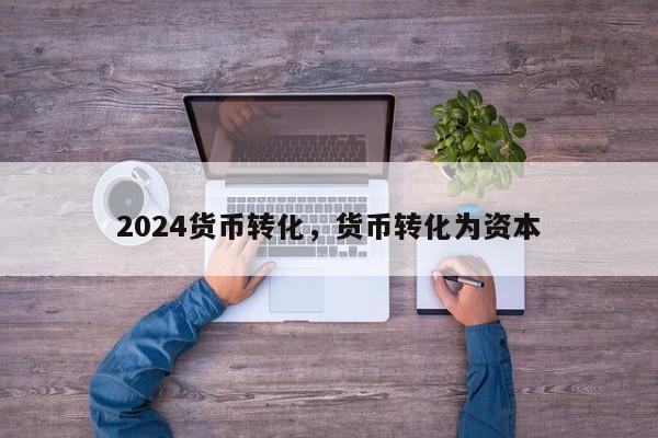 2024货币转化，货币转化为资本