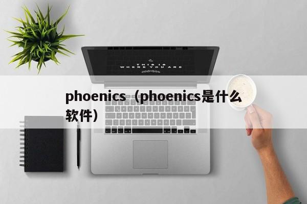 phoenics（phoenics是什么软件）