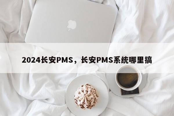 2024长安PMS，长安PMS系统哪里搞