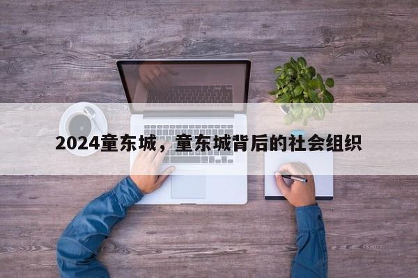 2024童东城，童东城背后的社会组织